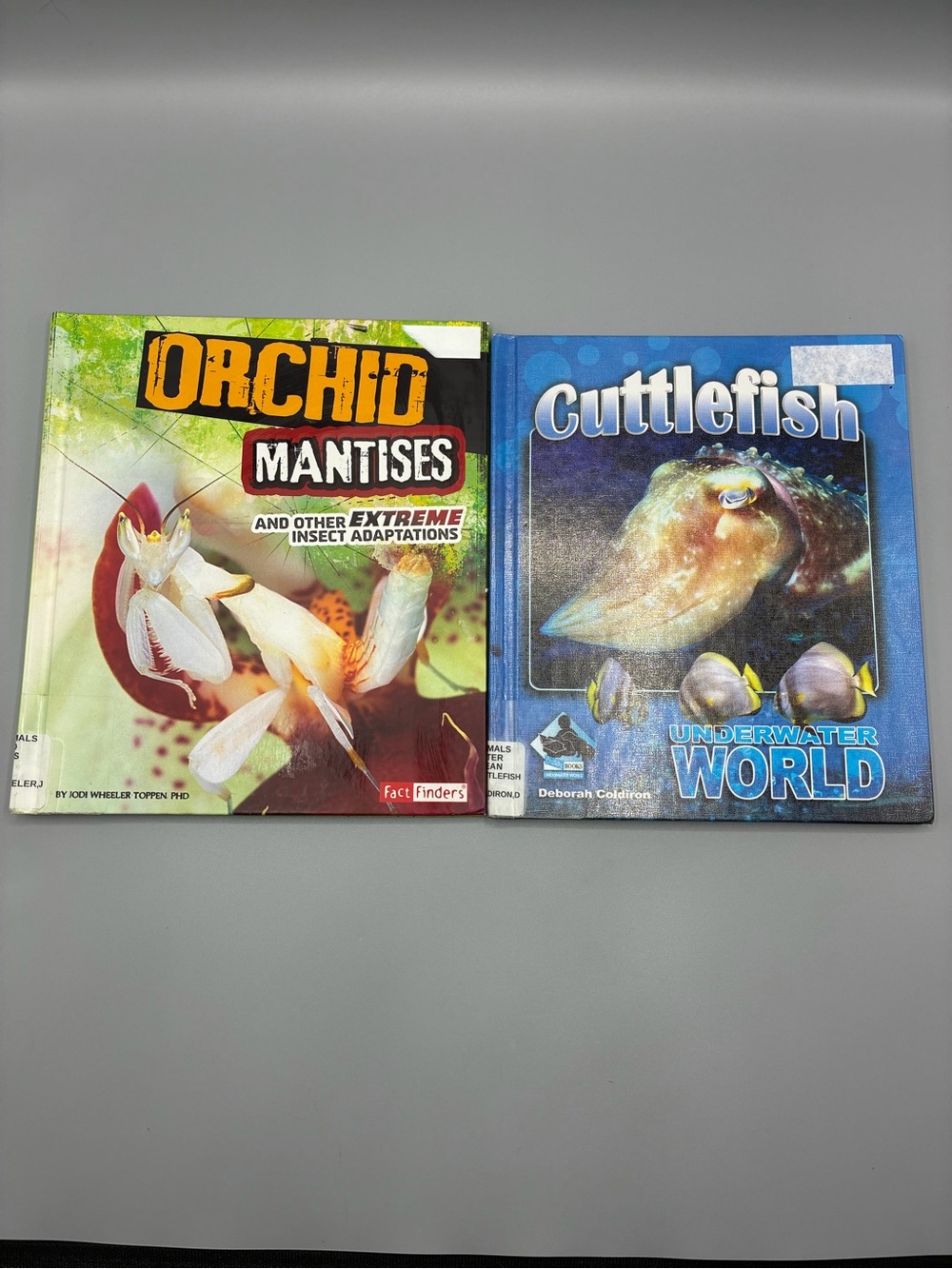 3/$10 Orchid Mantises and Cutttlefiah Underwater World Educational Books